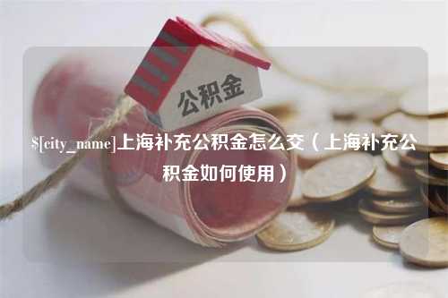 肇庆上海补充公积金怎么交（上海补充公积金如何使用）