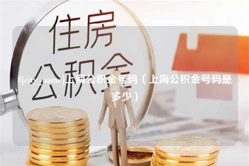 肇庆上海公积金号码（上海公积金号码是多少）